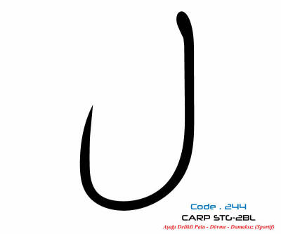 2447 CARP STG-2 DAMAKSIZ #8 TEFLON 9P - 1