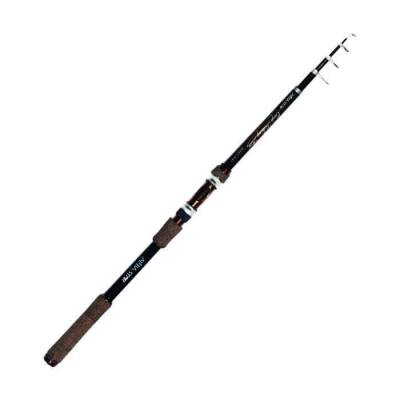 Albastar Carpfish 2020 Olta Kamışı - 1