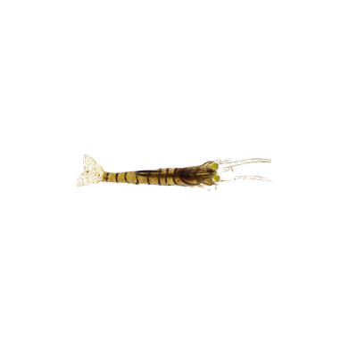 Albastar Gamba Silikon Karides - 3