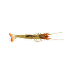 Albastar Gamba Silikon Karides - 11
