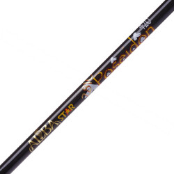 Albastar Poseidon 2810 Surf Olta Kamışı - 4