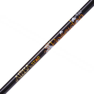 Albastar Poseidon 2810 Surf Olta Kamışı - 4