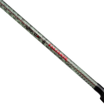 Albastar Taliante 3381 Dolgu Tekne Olta Kamışı - 2