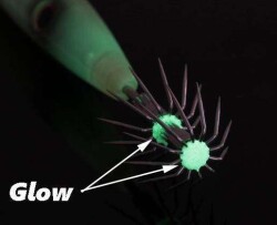 Bassday Bungy Taru Speed Kalamar Zokası Deep Fighter 200gr 175cm - 3