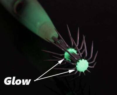 Bassday Bungy Taru Speed Kalamar Zokası Deep Fighter 200gr 175cm - 3