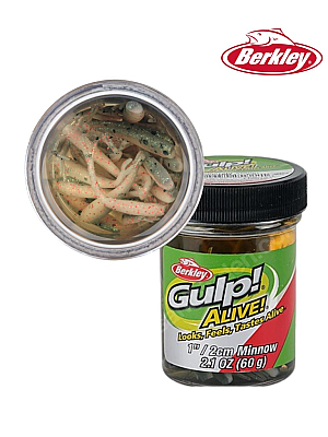 Berkley Gulp Alive 1'' Inc Minnow Silikon Yem - 1