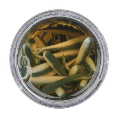 Berkley Gulp Alive 1'' Inc Minnow Silikon Yem - 10