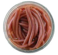 Berkley Gulp Alive Angle Worm Sahte Kurt - 2