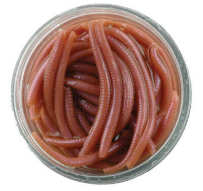 Berkley Gulp Alive Angle Worm Sahte Kurt - 2