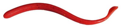 Berkley Gulp Nightcrawler Sahte Kurt - 5