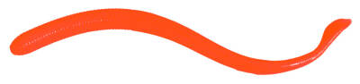 Berkley Gulp Nightcrawler Sahte Kurt - 4