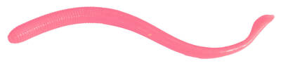 Berkley Gulp Nightcrawler Sahte Kurt - 2