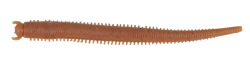Berkley Gulp Saltwater Fat Sandworm Sahte Kurt - 327