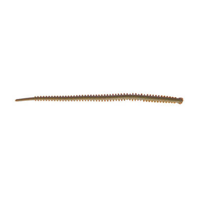 Berkley Gulp Saltwater Sandworm Sahte Kurt - 8