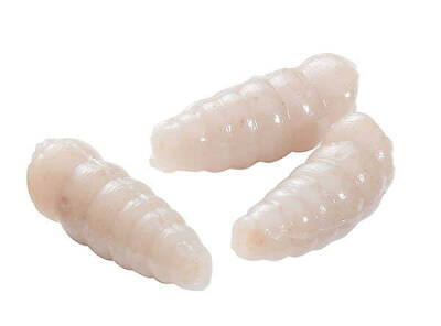 Berkley Powerbait Maggot Sahte Kurt - 11