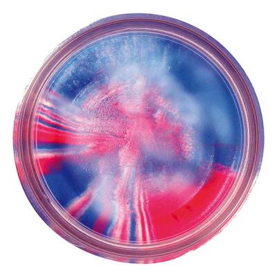 Berkley Powerbait Natural Glitter Trout Bait Garlic Sahte Yemi - 31