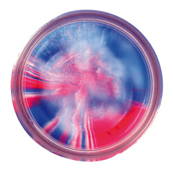 Berkley PowerBait Natural Scent Glitter Hamur Yem - 725