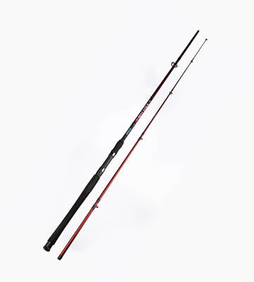 BEST STICK 165 CM 50-100G 2P - 11
