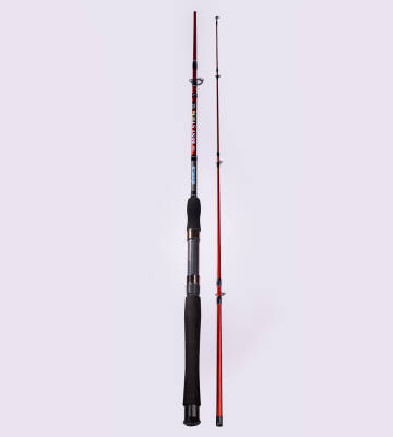 BEST STICK 180 CM 50-100G 2P - 2