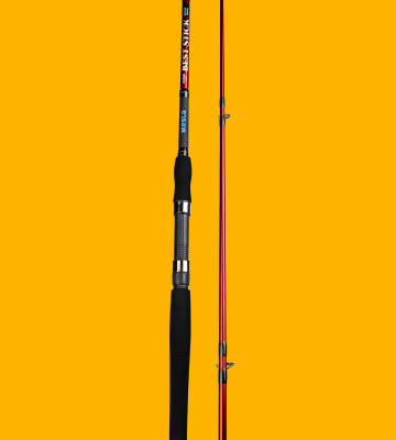 BEST STICK 210 CM 10-30G 2P - 3