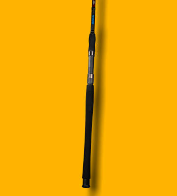 BEST STICK 210 CM 10-30G 2P - 5