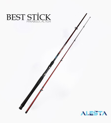 BEST STICK 210 CM 10-30G 2P - ALESTA