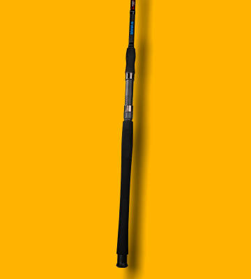 BEST STICK 270 CM 10-30G 2P - 5