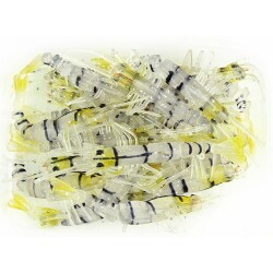 Bezli Karides 7.5 Cm 20P - 6