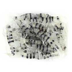 Bezli Karides 7.5 Cm 20P - 5