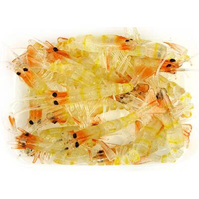 Bezli Karides 7.5 Cm 20P - 4