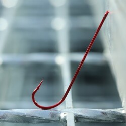 BKK Red Carlisle Bloodworm-R Olta İğnesi 25 Adet - 4