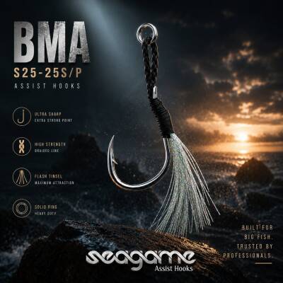 BLACK MAGIC ASSIST BMA SINGLE 4P #13 - 4