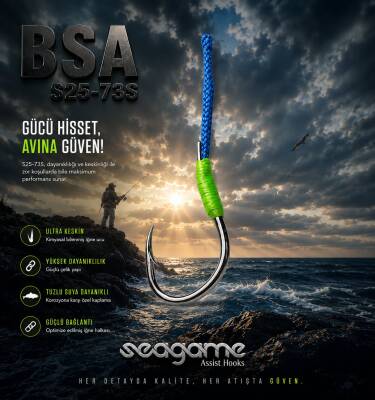 BLUE SPARK ASSIST BSA SINGLE 4P #9 - 4