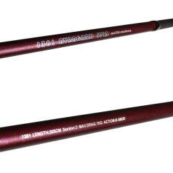 Captain 1381 Avangard 305cm Parçalı Spin Kamış 8-58gr Action - 5