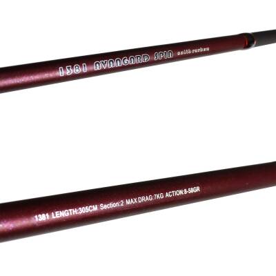 Captain 1381 Avangard 305cm Parçalı Spin Kamış 8-58gr Action - 5