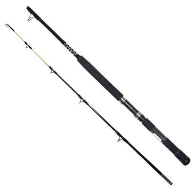 Captain 1434 Morfose Boat 2 Parça Tekne Kamışı 15lbs Atar - 2
