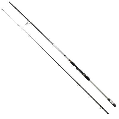 Captain 1448 Grey Spin 290cm 2 Parça Shore Jig Kamışı 14-62gr Atar - 1
