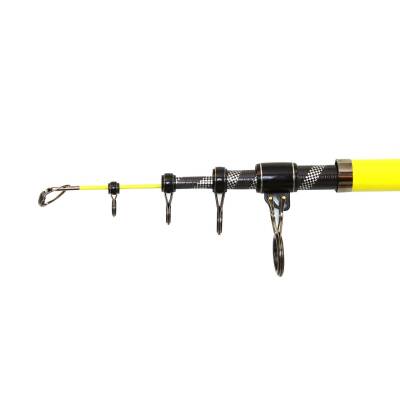 Captain 1672 Ecusto Tele Surf Kamış 100-250gr Atar - 4