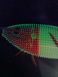 Captain 3028 Kalamar Zokası 8cm Toto Zogga Glow Deri Kaplama - 11