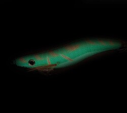 Captain 3029 Kalamar Zokası 12cm Crazy Glow Deri Kaplama Size 35 - 2