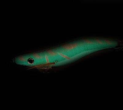 Captain 3029 Kalamar Zokası 12cm Crazy Glow Deri Kaplama Size 35 - 2