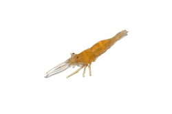 Captain 3054 Silikon Karides 75cm Suni Yem 5li Paket - Captain