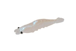 Captain 3056 Silikon Karides 8cm Suni Yem 5li Paket - 2
