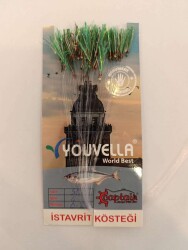 Çinekop Kösteği UV-GLOW Simli Youvella Kartonda 50 İğne 025mm Köstek - 12