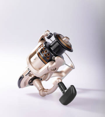 CORDONEL FD-360 3BB - 6