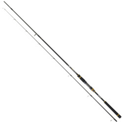 Daiwa BG Seabass 272cm 14-42gr Seabass Kamış - 1