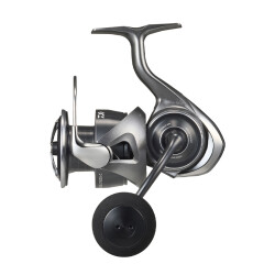 DAIWA CALDIA 25 LT 5000 C MAKARA - Daiwa