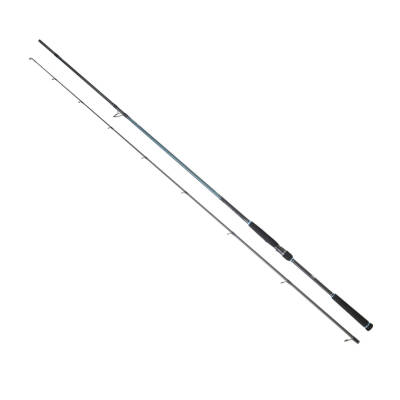 DAIWA CALDIA SEABASS 2.40M 7-28GR 2P KAMIŞ - 1