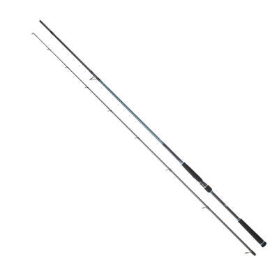 DAIWA CALDIA SEABASS 2.52M 5-21GR 2P KAMIŞ - 1