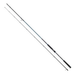 DAIWA CALDIA SEABASS 2.70M 14-42GR 2P KAMIŞ - Daiwa